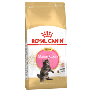 Royal Canin Maine Coon Kitten Food 2kg