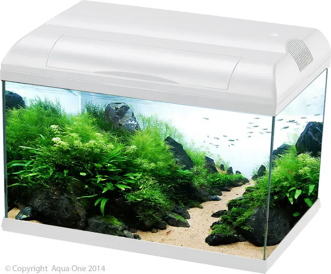 Aqua One Ecostyle 61 White Aquarium 70l