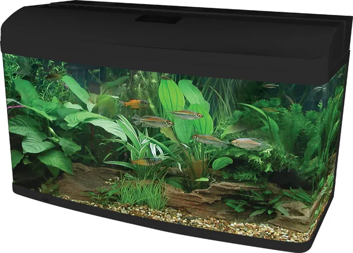 Aquastyle Ar980 Gloss Black 215l Aquarium