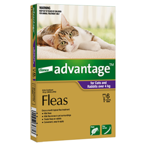 Advantage Flea Treatment For Cats & Rabbits Over 4kg - 6 Pack