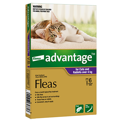Advantage Flea Treatment For Cats & Rabbits Over 4kg - 6 Pack