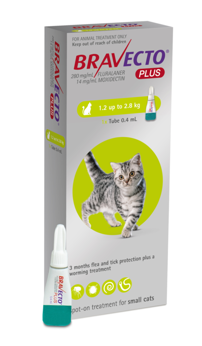 Bravecto Plus Spot On Treatment For Cats 1.2kg-2.8kg - 1 Pack