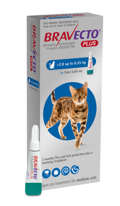 Bravecto Plus Spot On Treatment For Cats 2.8kg-6.25kg - 1 Pack