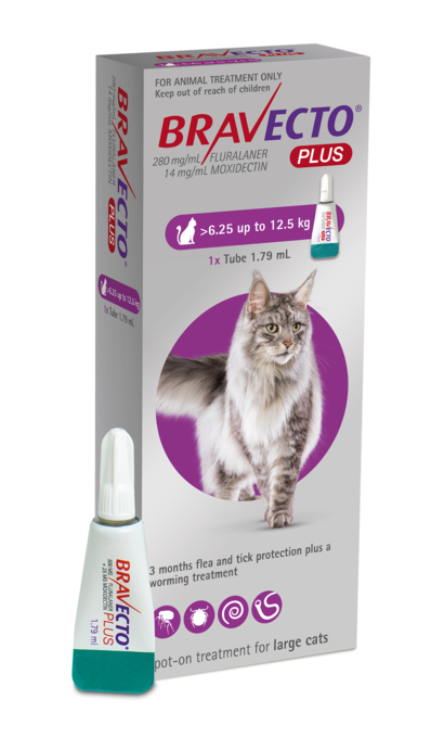 Bravecto Plus Spot On Treatment For Cats 6.25kg-12.5kg - 1 Pack