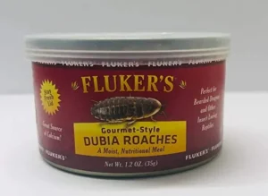 Fluker's Gourmet Dubia Roaches. 35gm
