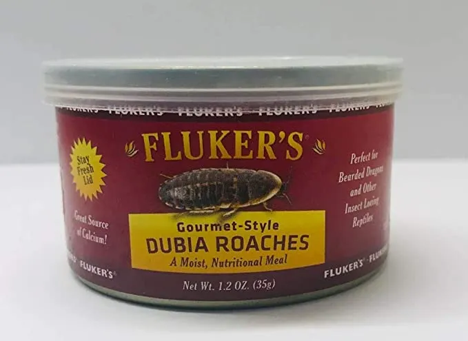 Fluker's Gourmet Dubia Roaches. 35gm