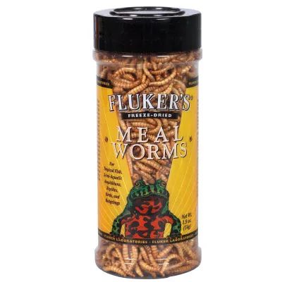 Fluker's Freeze Dried Mealworms 54g