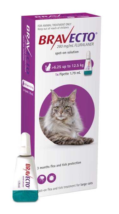 Bravecto Spot On Flea Treatment For Cats 6.25-12.5kg