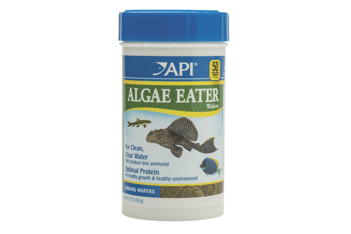 Api Algae Eater Wafers 37g