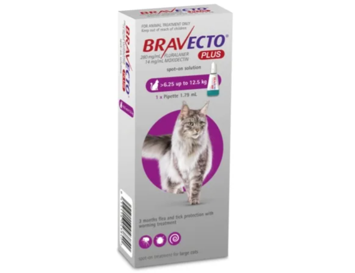 Bravecto Plus Spot On Treatment For Cats 6.25kg-12.5kg - 1 Pack