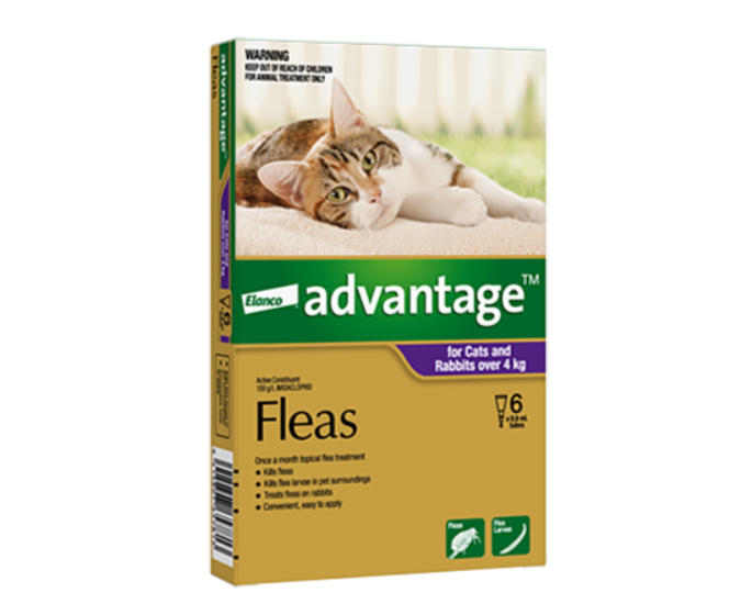Advantage Flea Treatment For Cats & Rabbits Over 4kg - 6 Pack