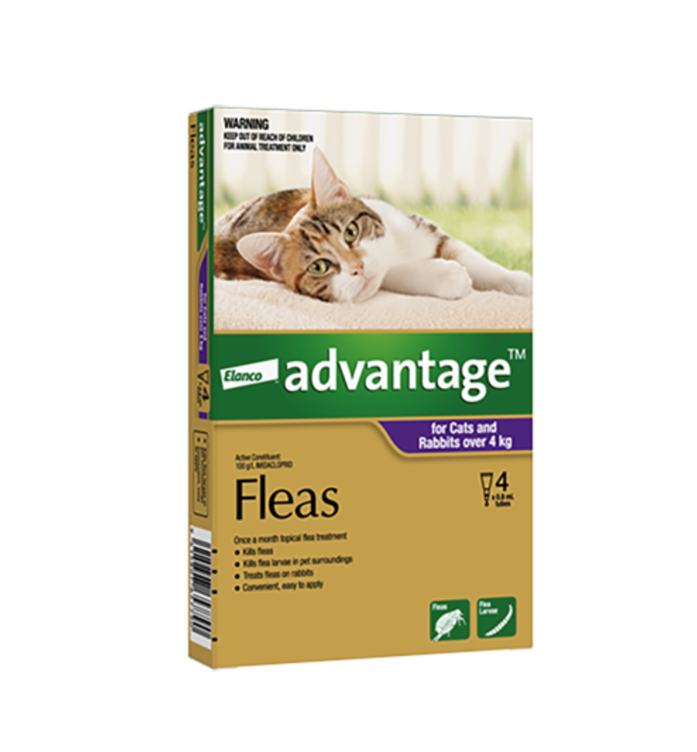Advantage Flea Treatment For Cats & Rabbits Over 4kg - 4 Pack