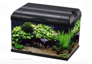 Aqua One Ecostyle 61 Black Aquarium 70L