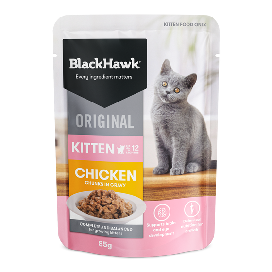 Black Hawk Original Kitten Chicken/gravy 85g