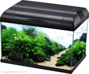 Aqua  one Tropical Learner Kit 38l