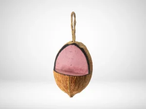 Topflite Wild Bird Energy Coconut Cherry