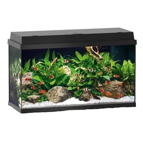 Juwel Primo 60l Aquarium Black