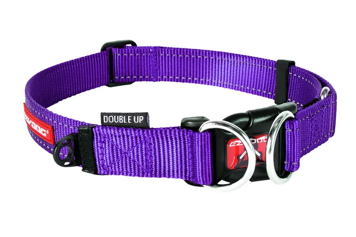 Ezydog collar pets at home best sale