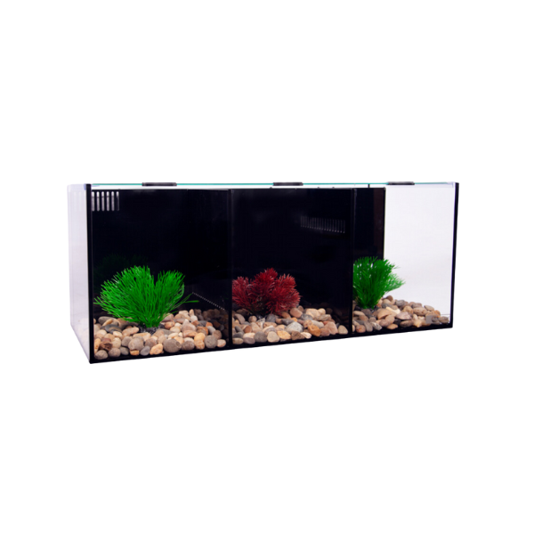 Aqua One Betta Condo Trio