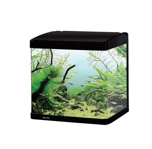 Aqua One Lifestyle 21 Gloss Black