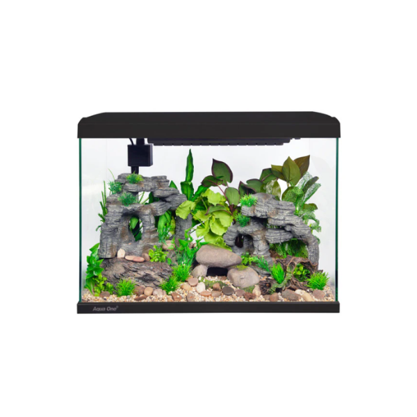Aqua One Lifestyle Classic 72 Black Starter Package Tropical No Cabinet