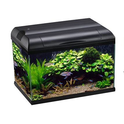 Aqua One EcoStyle 81 Black 127L