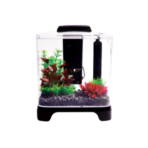 Aqua One Betta Haven Acrylic Aquarium Package