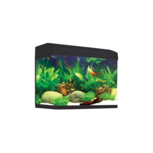 Aqua One AR850 Gloss Black Starter Package Coldwater No Cabinet