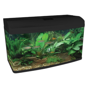 Aqua One AR980 Gloss Black Starter Package Coldwater No Cabinet