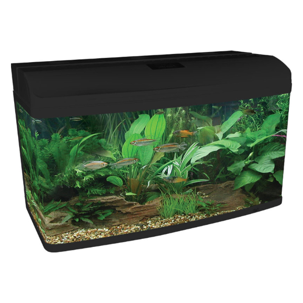 Aqua One AR980 Gloss Black Starter Package Tropical No Cabinet