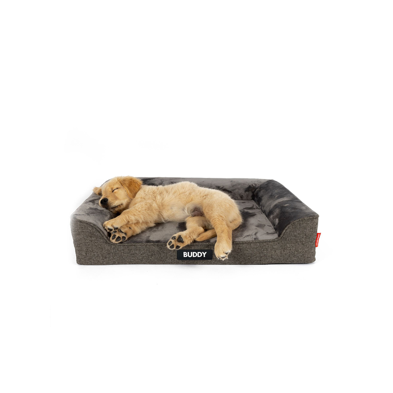 ED Next-Gen Ortho Lounger Charcoal - Medium ^BONMCHA