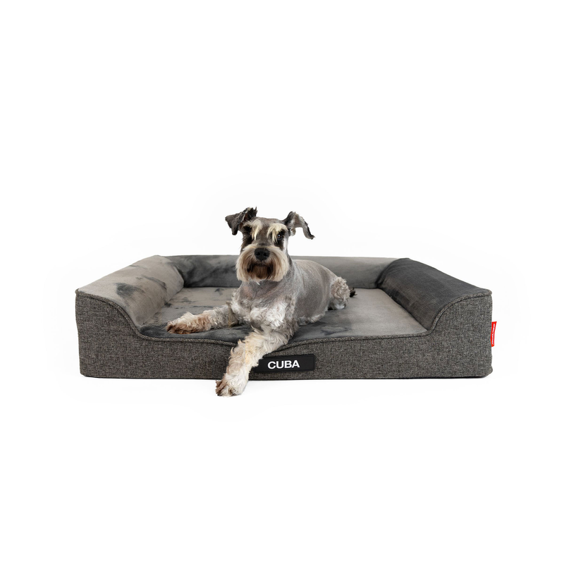 ED Next-Gen Ortho Lounger Charcoal - Large ^BONLCHA