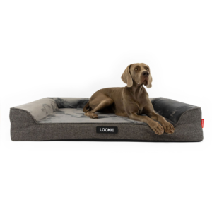 ED Next-Gen Ortho Lounger Charcoal - XL ^BONXLCHA
