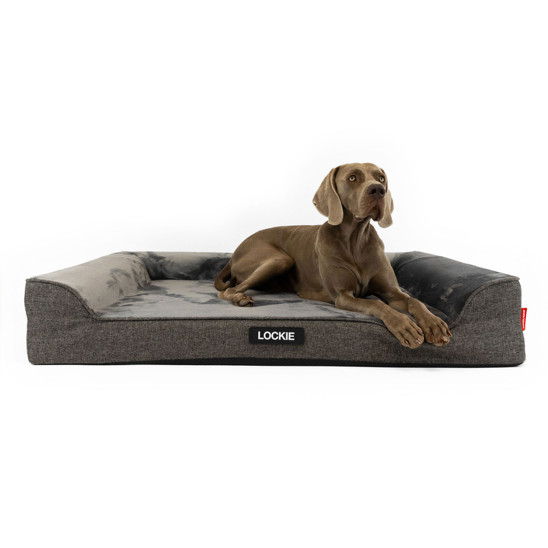 ED Next-Gen Ortho Lounger Charcoal - XL ^BONXLCHA