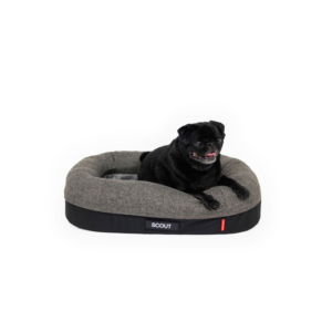 ED 2in1 Ortho Calm Elite Bed Charcoal/Black - Medium ^BOCMCHA