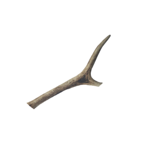 Deer Antler Loose - small
