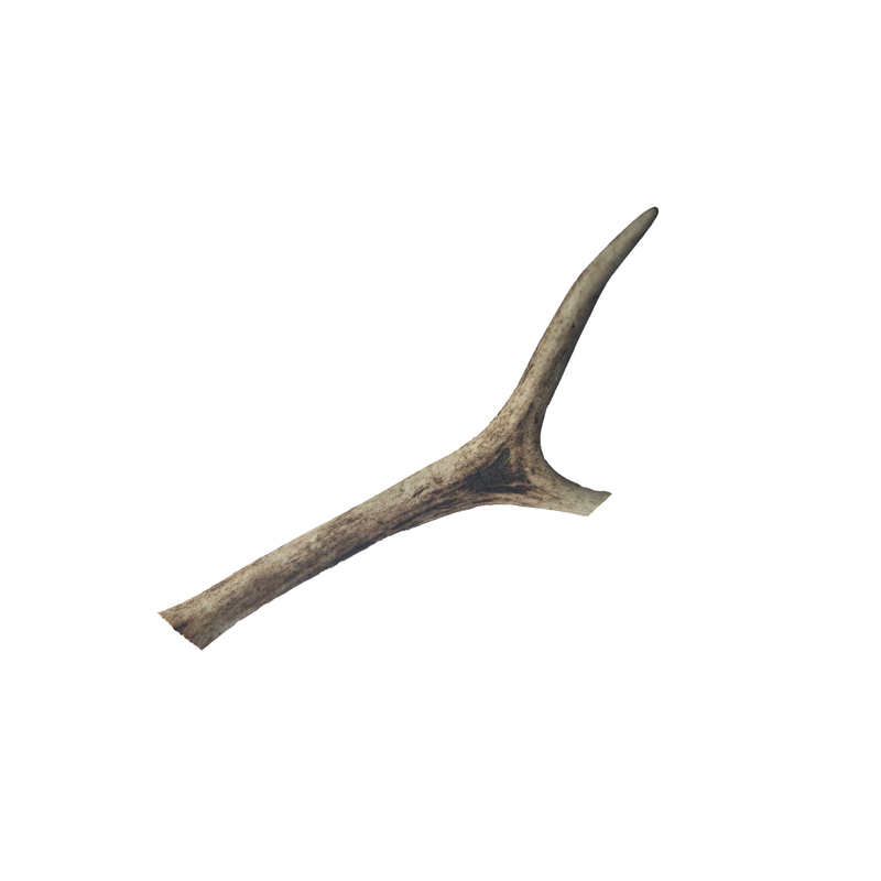 Deer Antler Loose - small
