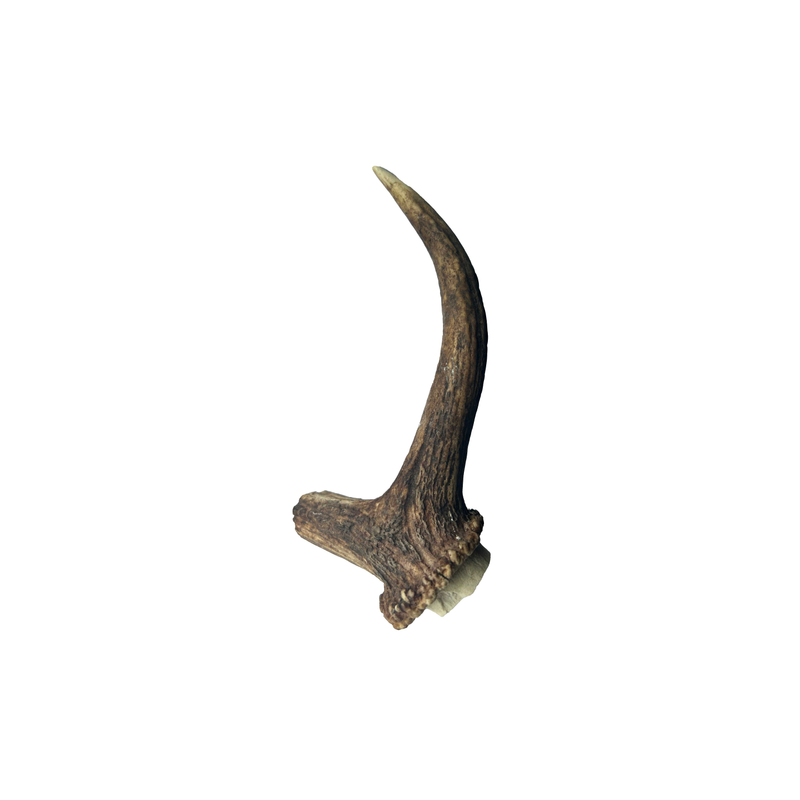 Deer Antler Loose - Med