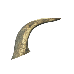 Deer Antler Loose - Lge