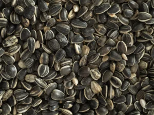 Topflite sunflower seeds 4kg