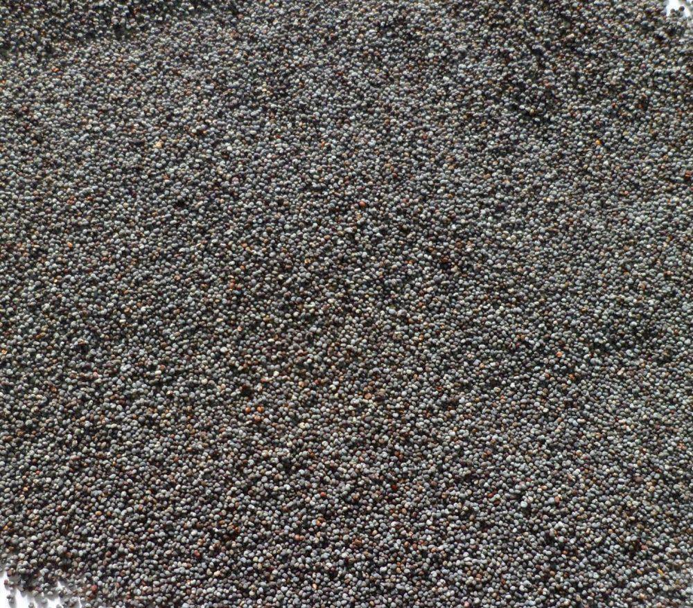 Topflite Blue Maw 180gm