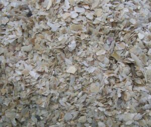 Topflite oyster Grit  fine 1 kg