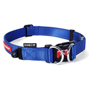 EzyDog Collar Double Up L Blue