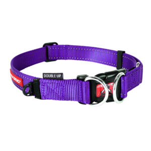 EzyDog Collar Double Up L Purple