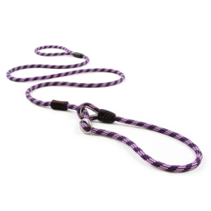 EzyDog Luca Leash Purple ^LL67PP