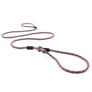 EzyDog Luca Leash Lite Red ^LL67LR
