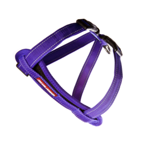 EzyDog Harness Chest Plate  XL Purple ^H09XLPP
