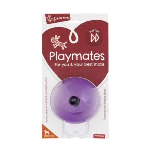 Yours Droolly Entertaineze Treat Ball Medium