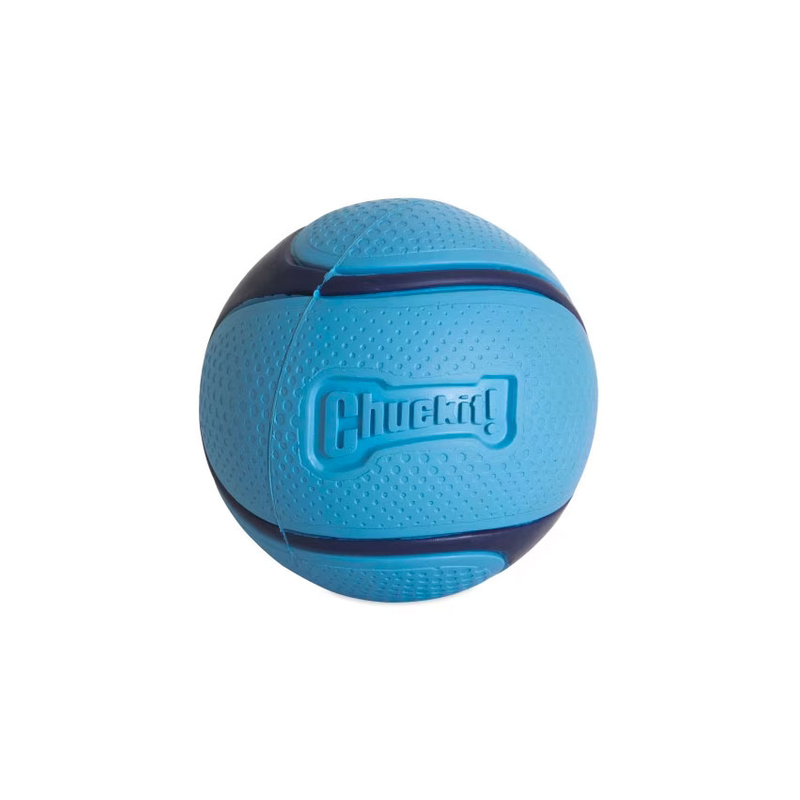 Chuckit Sniff Fetch Ball Bacon Med 1pk