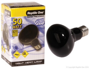 Reptile One Heat Lamp Night Light 50W E27 Screw Fitting